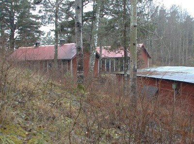 tumba hus 31.01.JPG